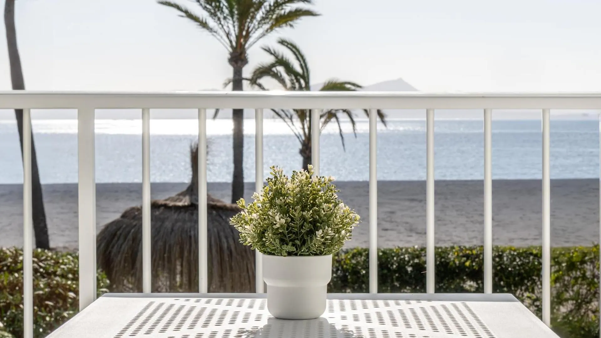 Bonavida Apartments Port de Alcudia  Spain